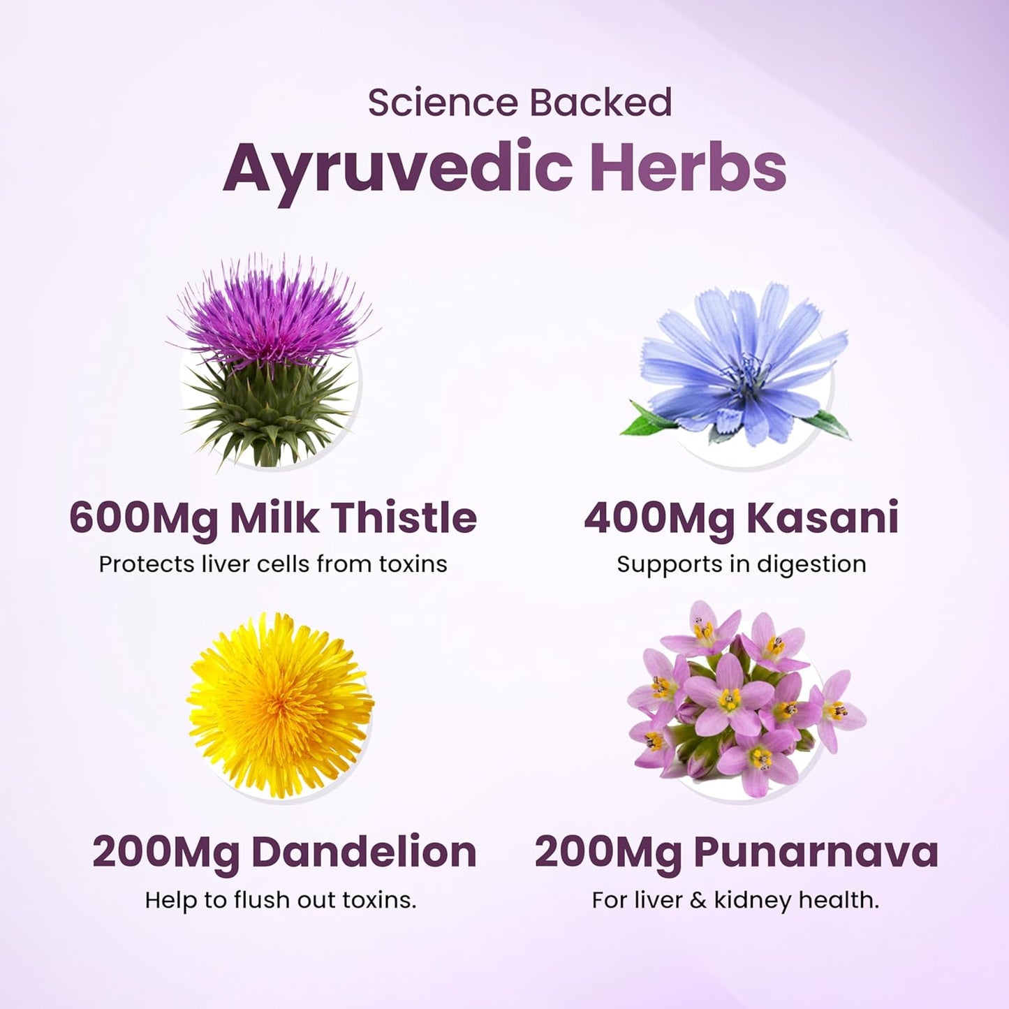 Meadbery Liver Detox Milk Thistle Extract Detox Supplement For Men And Women With 600Mg Of Silybum Marianum For Healthy Liver Helps in Cleanse Liver Natural Fatty Liver Support 60 Vegetarian Tablets