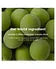 Pilgrim 10% Vitamin C Face Serum For Daily Brightness Reduces Dark Spots & Evens Skin Tone -30 ml