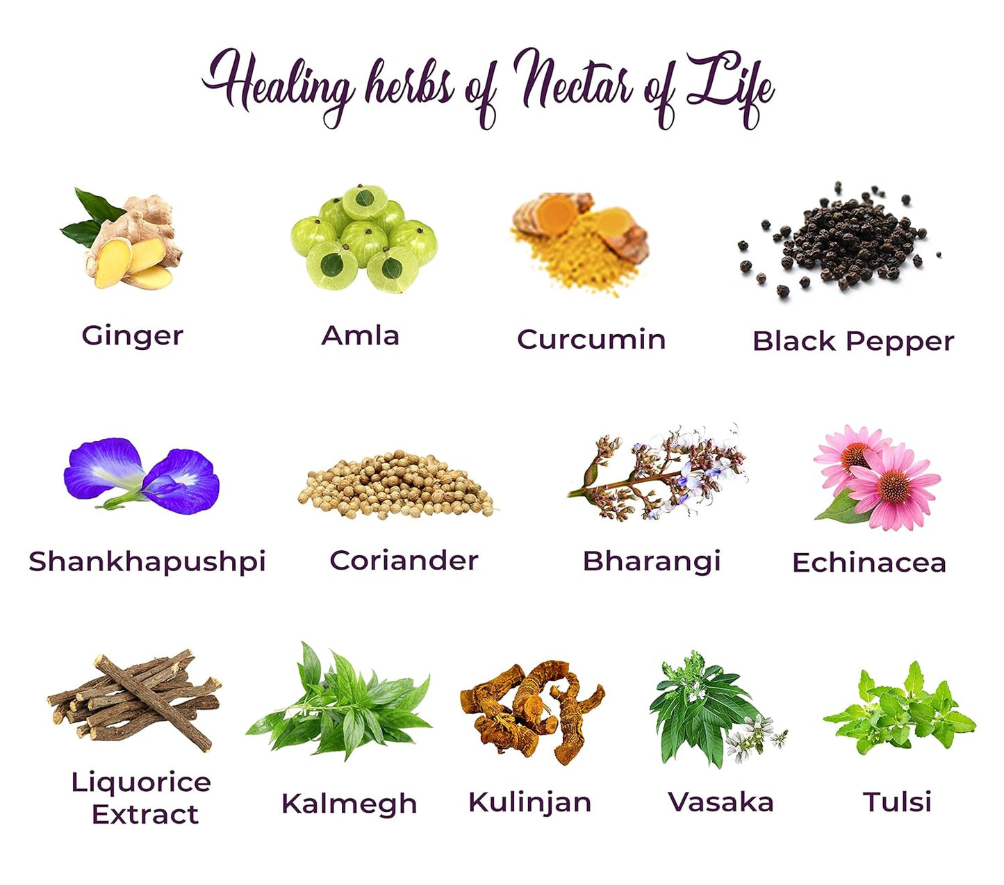 JiViSa The Nectar of Life Herbal Tea for Cold, Cough and Immunity (30 Cups) Kadha with 13 Powerful Herbs, Daily Ayurvedic Tea, Sugar-Free, No-Preservatives Instant Tea Powder Mix Nutraceutical