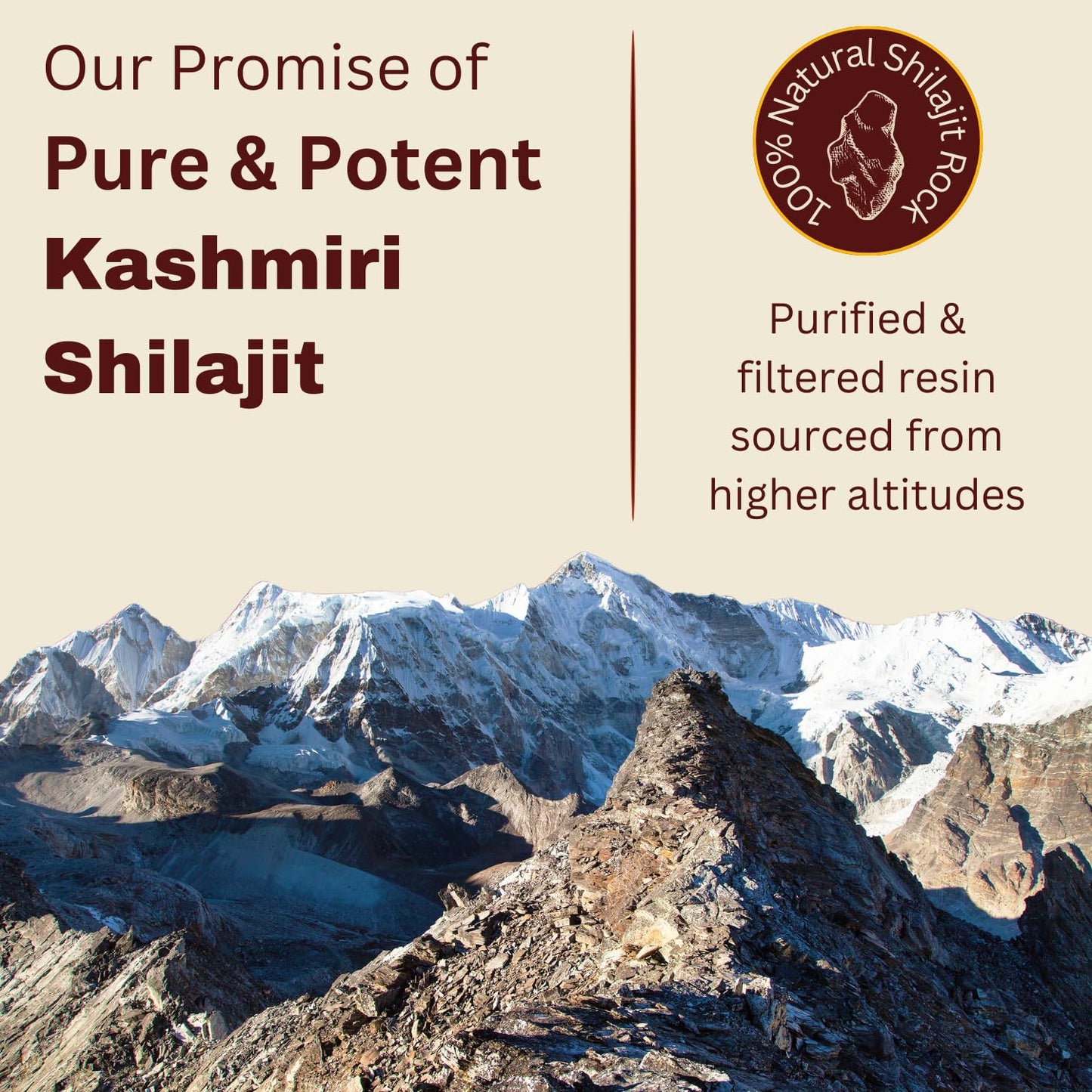 NK Herbal Pure Ayurvedic Shilajit for Men Women | Natural Shilajeet Resin with High Fulvic Humic Acid | For Stamina Strength Endurance Performance Power | Kashmir Origin (25g)